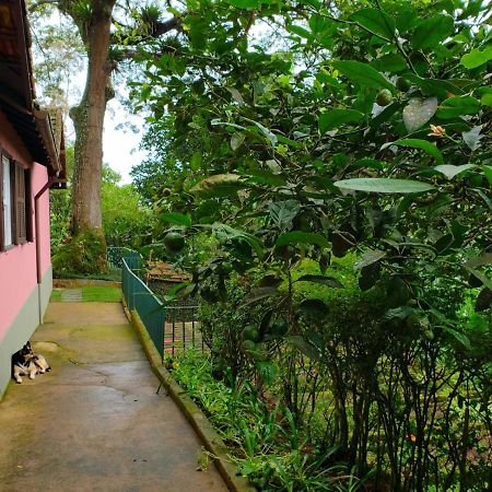 Casa Fazenda Inglesa - Anexo Villa Petrópolis Exterior foto